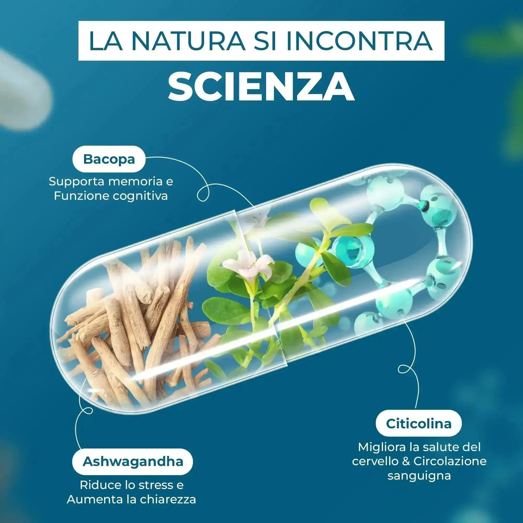 NEUROWIT - Memoria e Funzioni Cognitive (90 cps) - "Elimina la nebbia mentale. Concentrati su ciò che conta." - Image 3