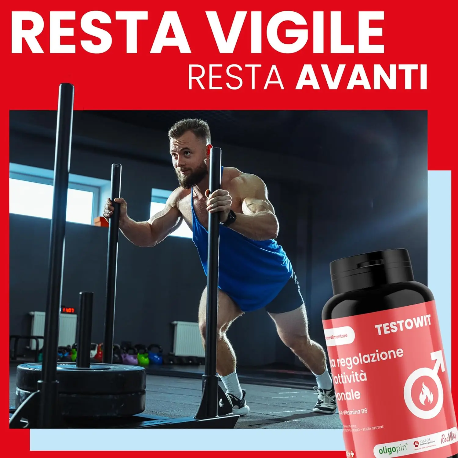 Protocollo ORBIS Completo 🌍✨🧳 - Image 10