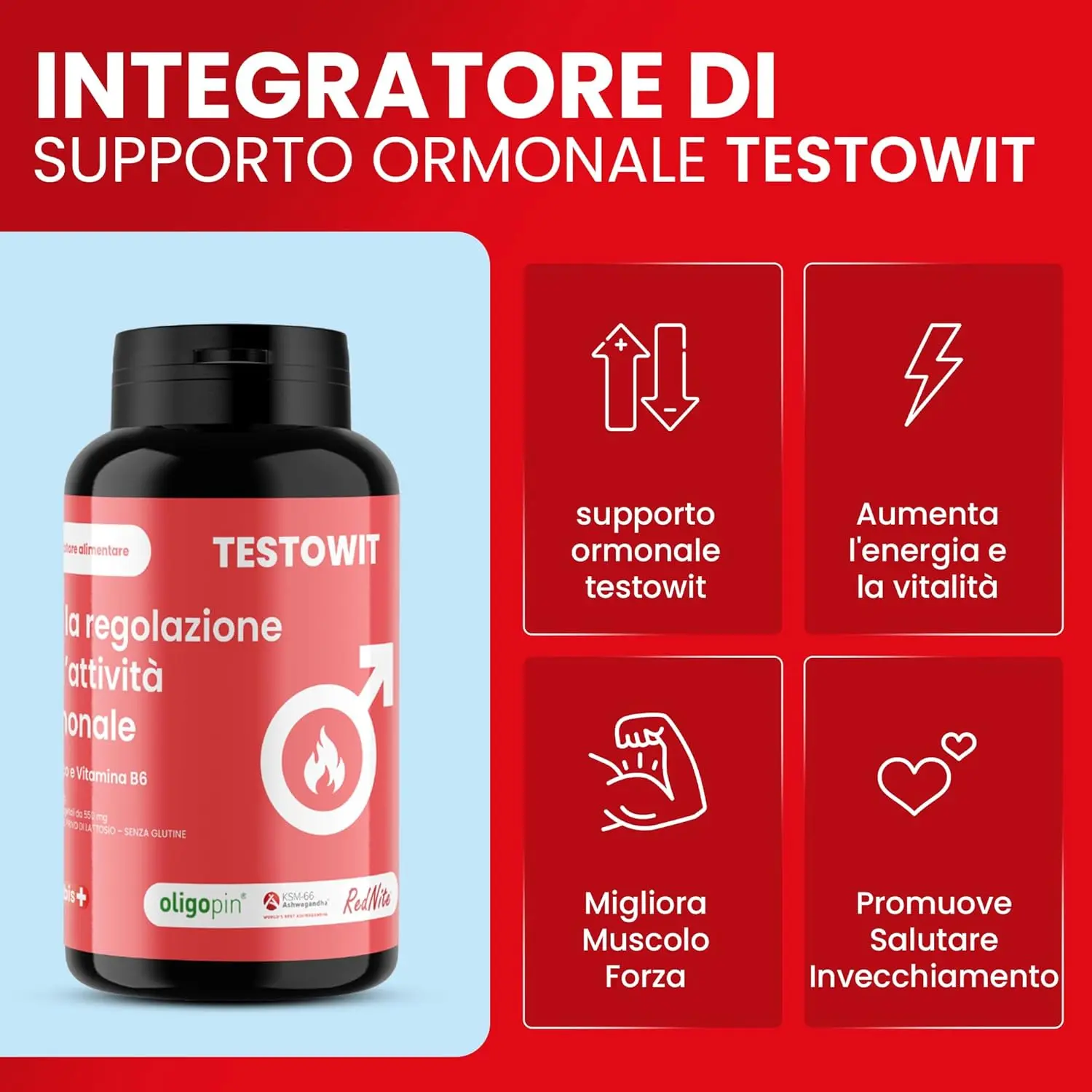 Protocollo ORBIS Completo 🌍✨🧳 - Image 11