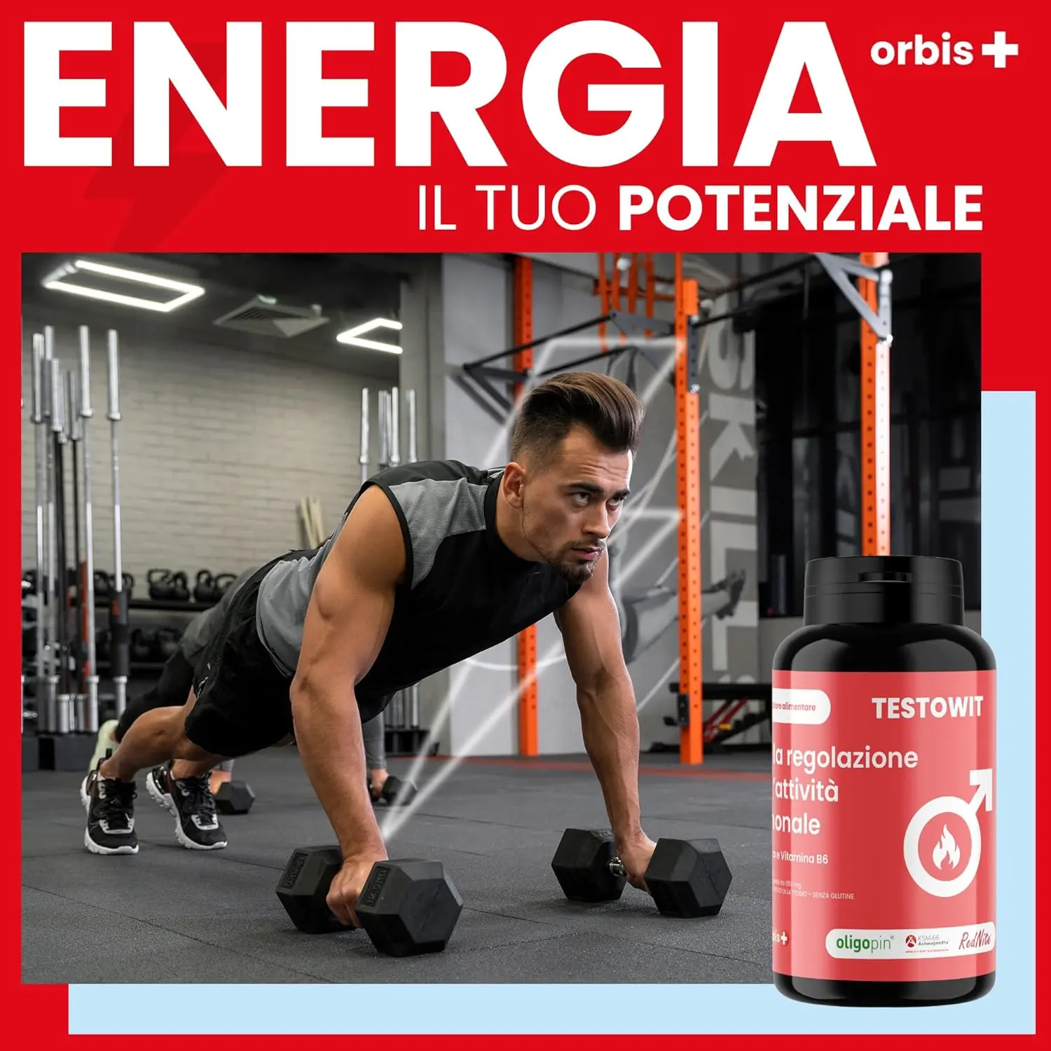 Protocollo ORBIS Completo 🌍✨🧳 - Image 8