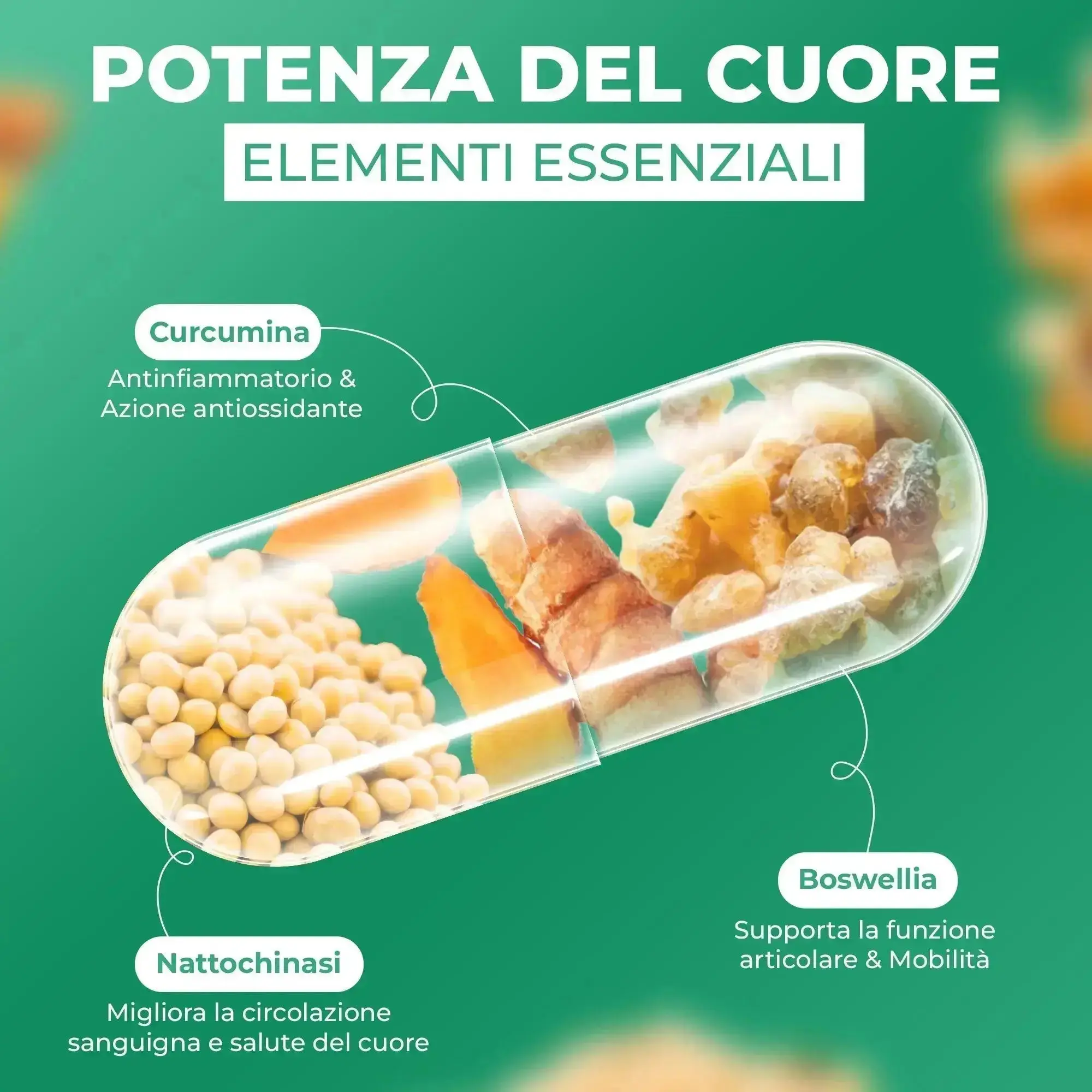 RESET - Per la Funzione Cardiaca (120 cps) - Image 3