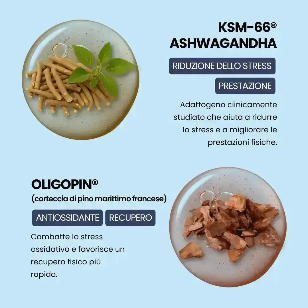 TESTOWIT - Regolazione ormonale 120 cps NEW! PROMO -50% - Image 7